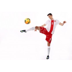 Naklejka PZPN - A3-24