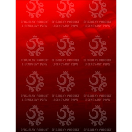 Naklejka PZPN - B2-4