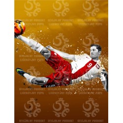 Naklejka PZPN - B2-9