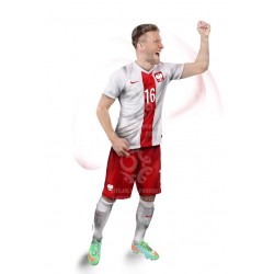 Naklejka PZPN - D1-1