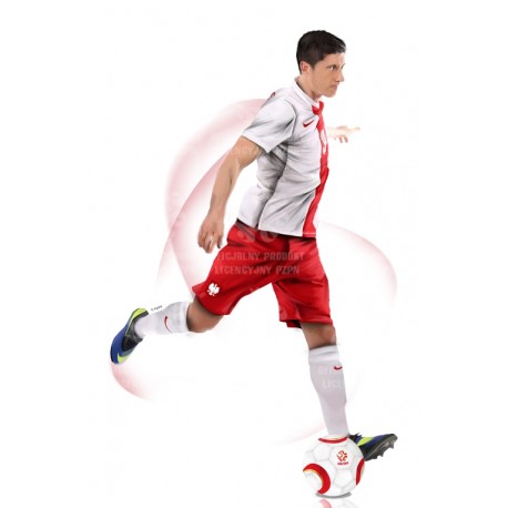 Naklejka PZPN - D1-4