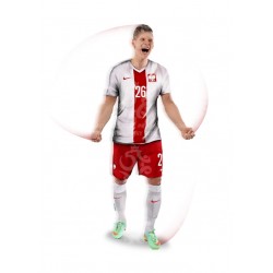 Naklejka PZPN - D1-6