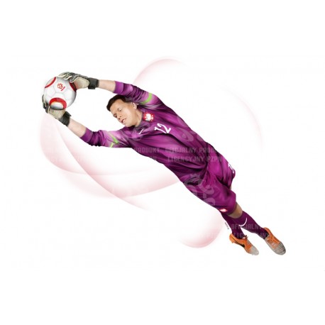 Naklejka PZPN - D1-7