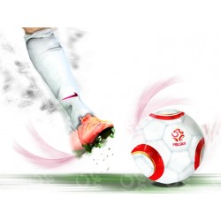 Naklejka PZPN - D1-9