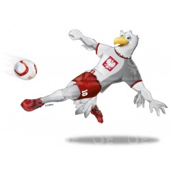 Naklejka PZPN - C1-7