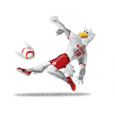 Naklejka PZPN - C1-9