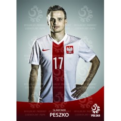 Naklejka PZPN - B6-4