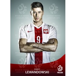 Naklejka PZPN - B6-17