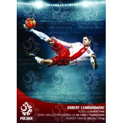 Naklejka PZPN - B6-42