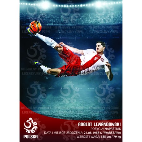 Naklejka PZPN - B6-42