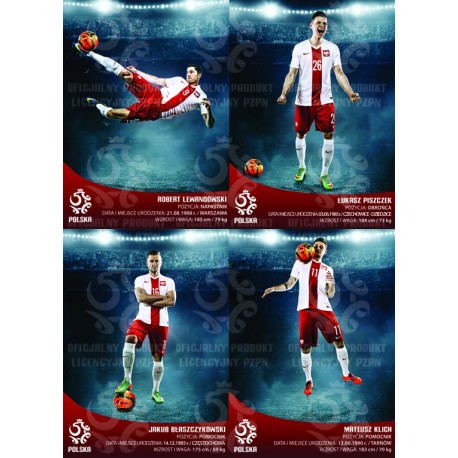 Naklejka PZPN - B6-43