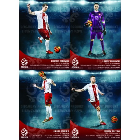 Naklejka PZPN - B6-46