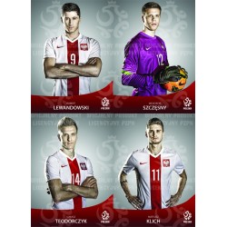 Naklejka PZPN - B6-49