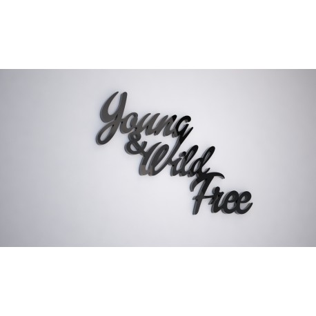 YOUNG WILD FREE- napis 3 d na ścianę 